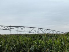 从“一身泥”到“一机控” 聪慧农业帮力秋粮稳 从“一身泥”到“一机控” 聪慧农业帮力秋粮稳